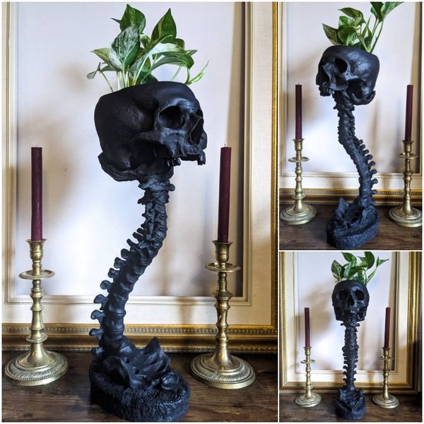 Skeletal™ - Schädel & Wirbelsäule Blumentopf