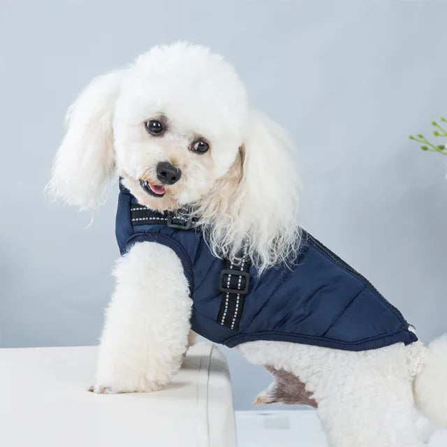 Wind- und wasserdichte Jacke für Hunde mit Geschirr