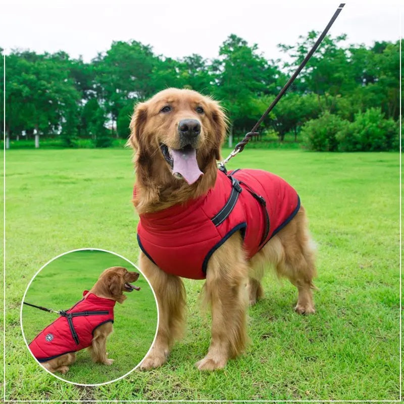 Wasserdichte Hundejacke für den Winter mit reflektierendem integriertem Geschirr