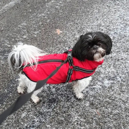 Wasserdichte Hundejacke für den Winter mit reflektierendem integriertem Geschirr