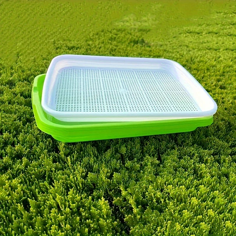 Keimschalen mit Deckel – Doppelschichtiger Saatguttausbringtray für effektive Samenkeimung