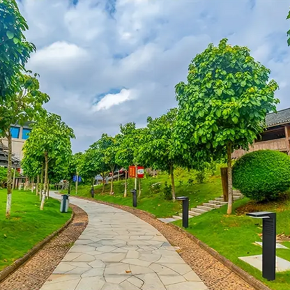 Solar-Gartenlampe mit LED für nachhaltige Gartenbeleuchtung