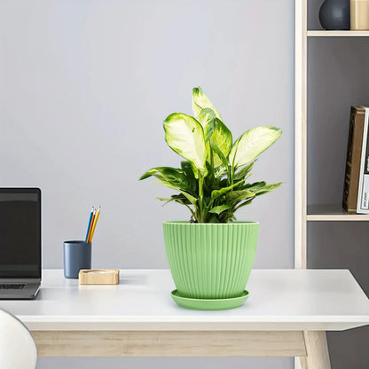 Blumentopf mit Rillenstruktur und Untersetzer – Stabiler Kunststofftopf für Pflanzen