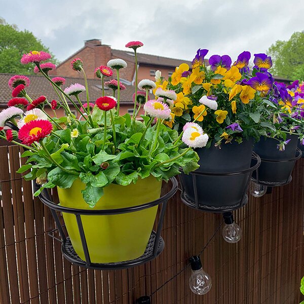 Hängender Blumentopfhalter | 50% Rabatt