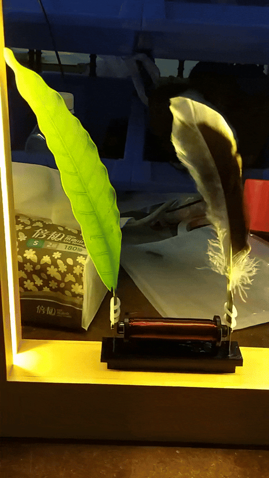 Garduru Lampe – 3D LED Nachtlicht in Zeitlupe