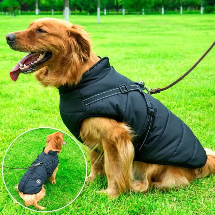 Wasserdichte Winterhundejacke