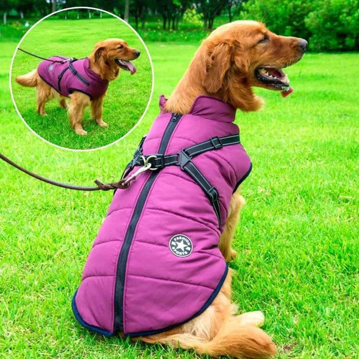 Wasserdichte Winterhundejacke