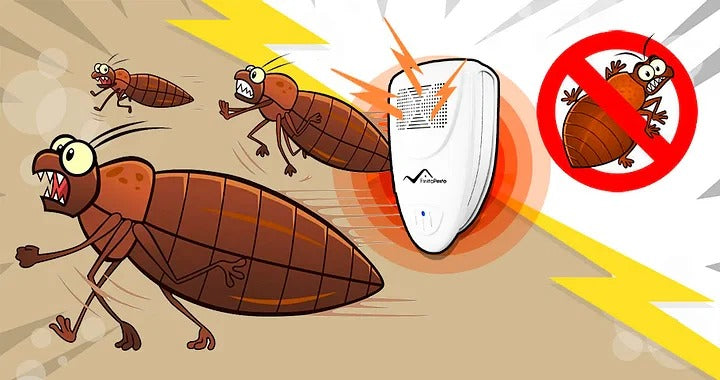 Ultraschall Bettwanzenvertilger