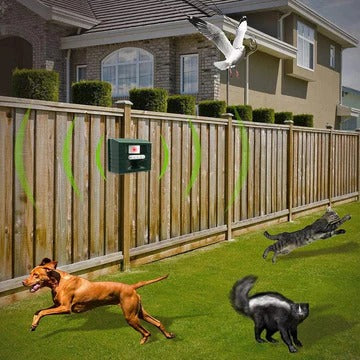 Specht Ultraschall-Abwehrmittel für effektive Vogelbekämpfung - Werden Sie Spechte los