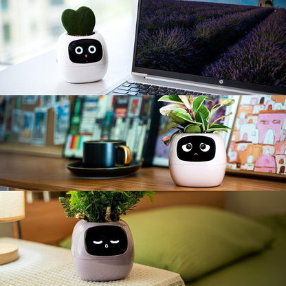 Smart Plant Pot Ivy – Innovative Pflanzenpflege