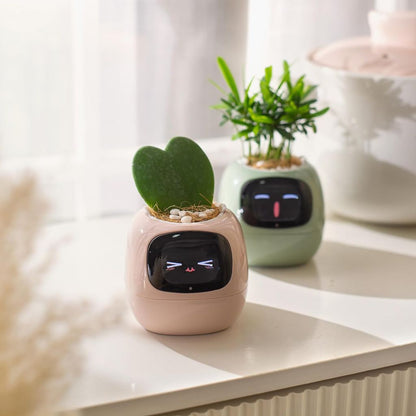 Smart Plant Pot Ivy – Innovative Pflanzenpflege