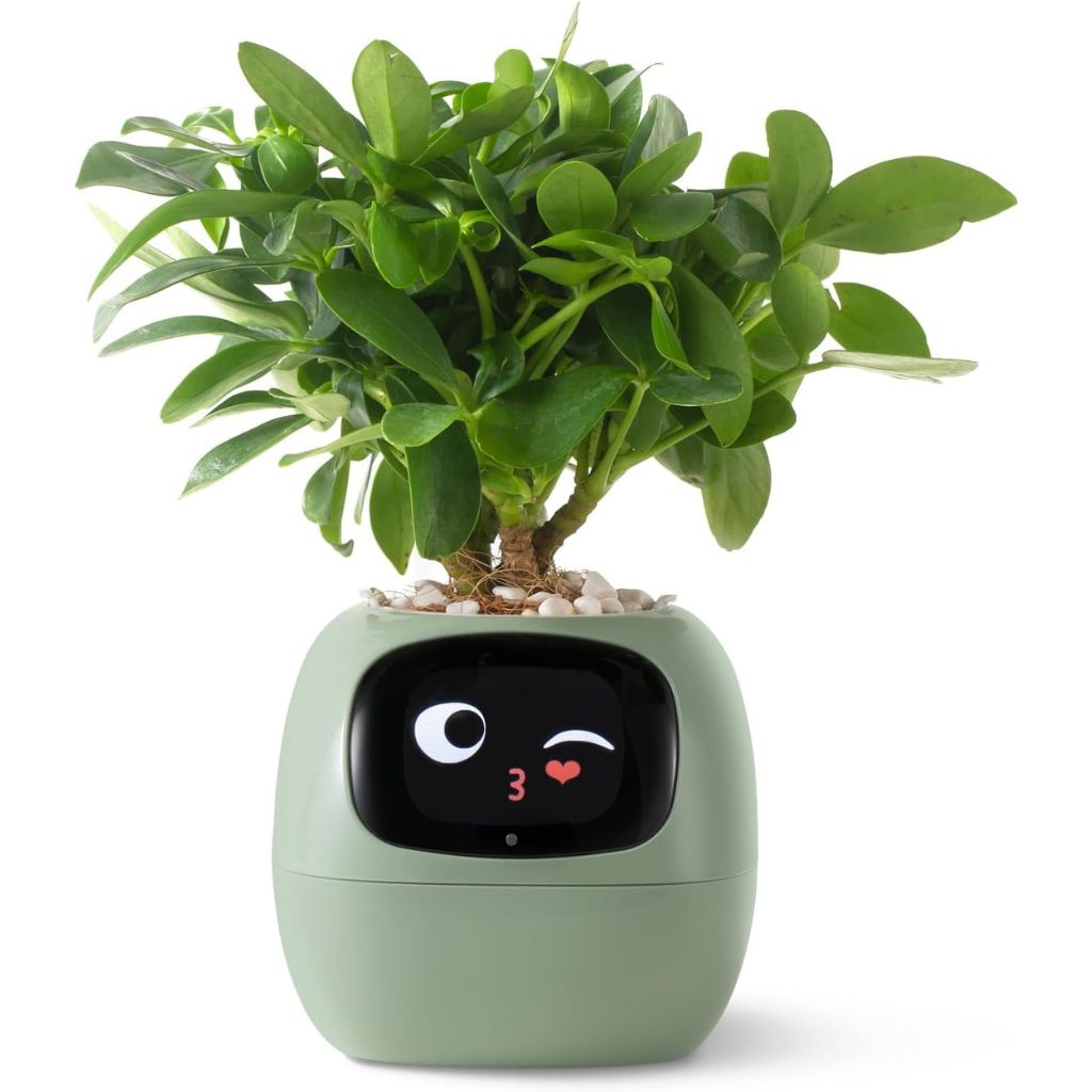 Smart Plant Pot Ivy – Innovative Pflanzenpflege