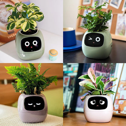 Smart Plant Pot Ivy – Innovative Pflanzenpflege