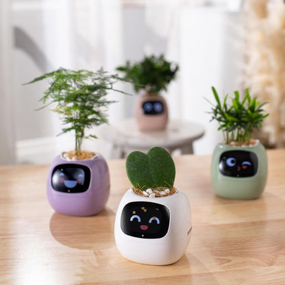 Smart Plant Pot Ivy – Innovative Pflanzenpflege