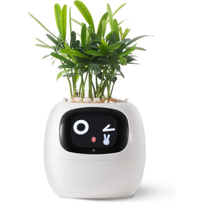 Smart Plant Pot Ivy – Innovative Pflanzenpflege