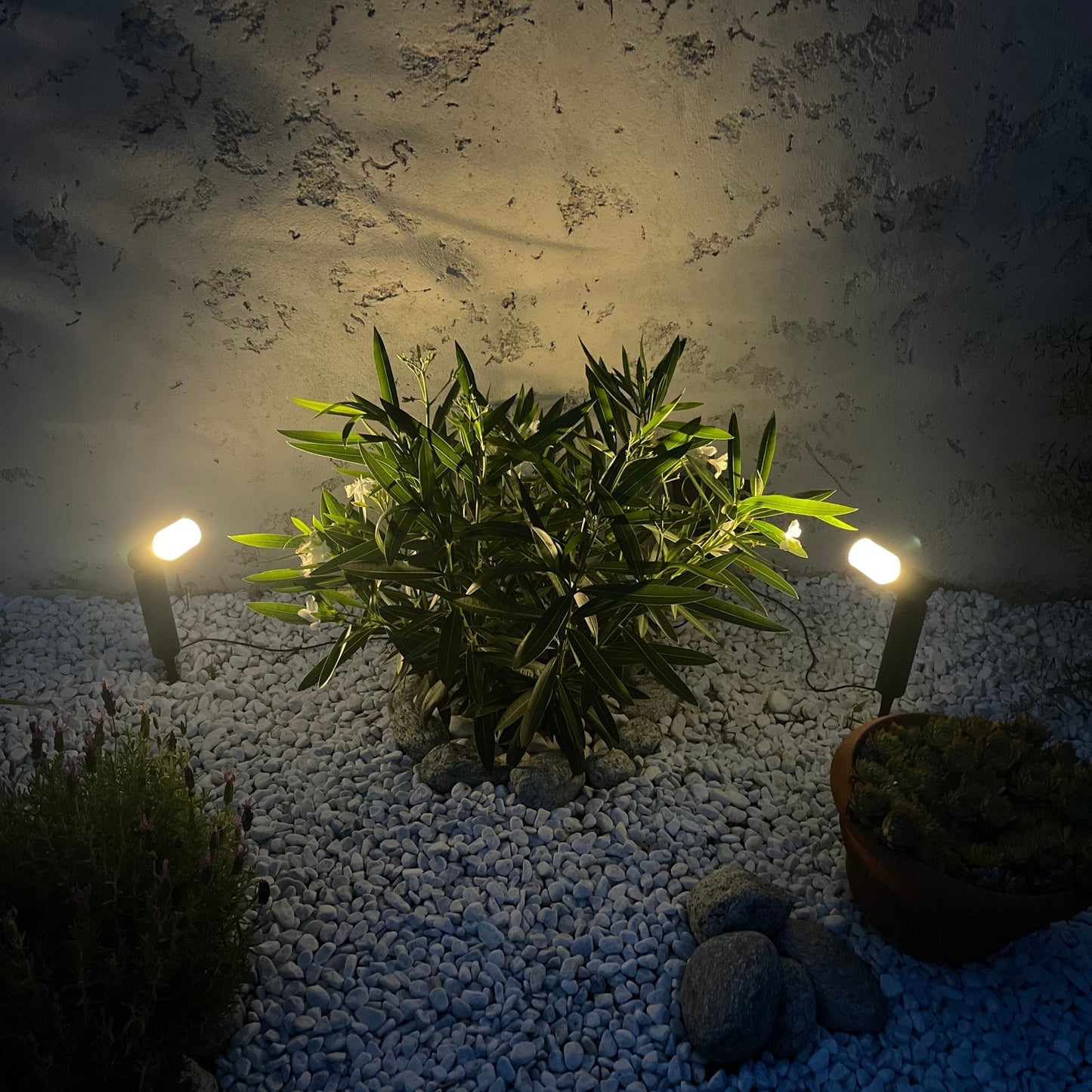 Set aus 2 Solar-Außenlampen mit verstellbarer Rotation zur Gartenbeleuchtung