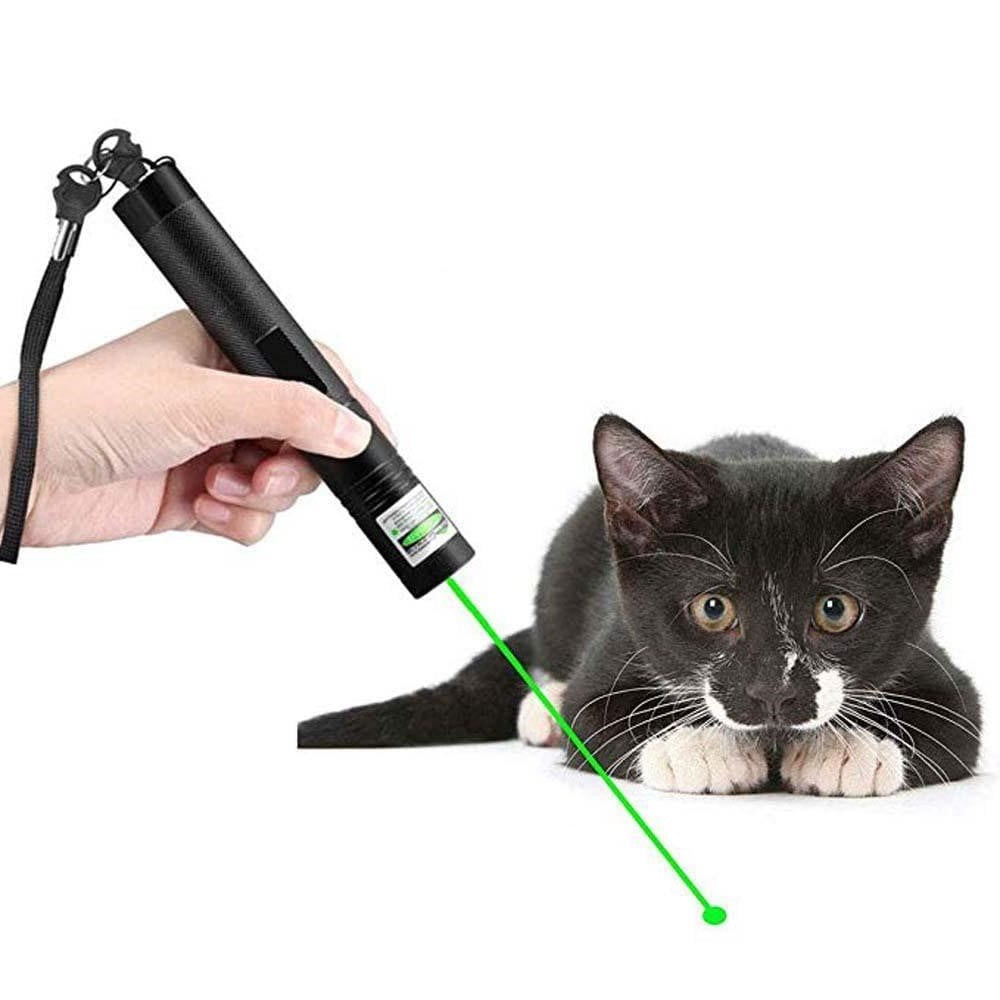 Leistungsstarker Laserpointer für Präzision | LuxeBeam