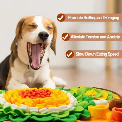 Schnüffelteppich für Hunde