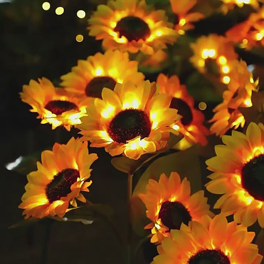 Strahlende Sonnenblume: Gartenfreude