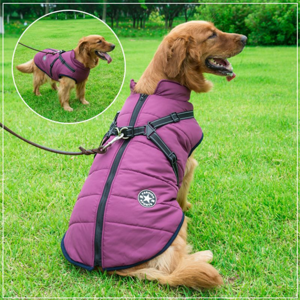 WoofGuard™ - Wasserdichte Winterjacke mit integriertem Gurtzeug
