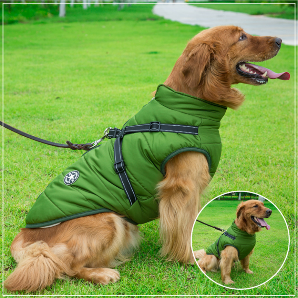 WoofGuard™ - Wasserdichte Winterjacke mit integriertem Gurtzeug