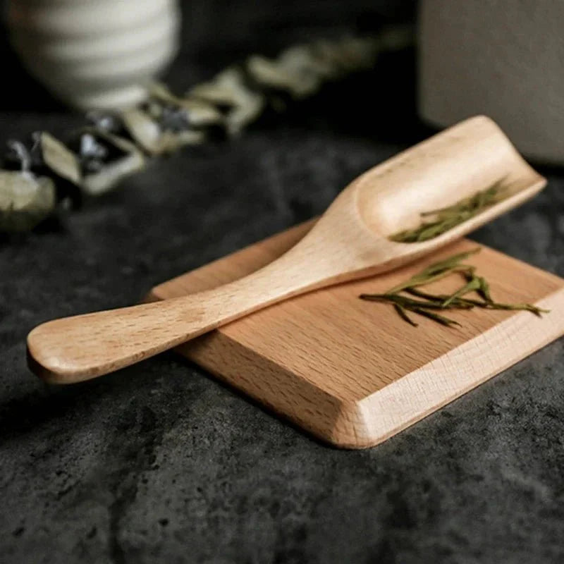 Sechsteilige Walnuss-Untersetzer-Set