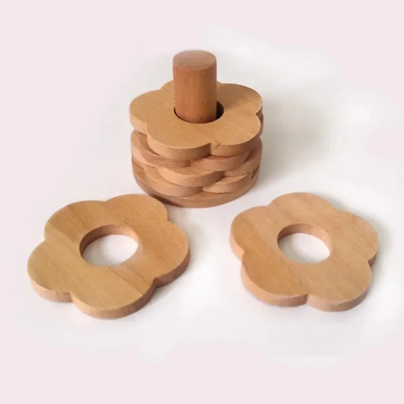 Sechsteilige Walnuss-Untersetzer-Set