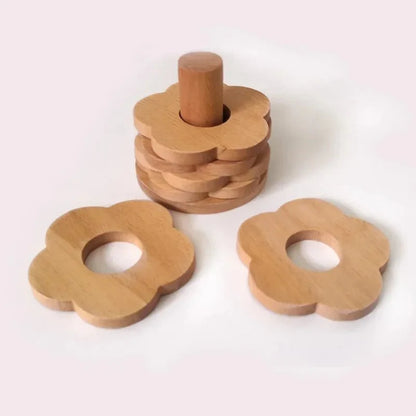 Sechsteilige Walnuss-Untersetzer-Set