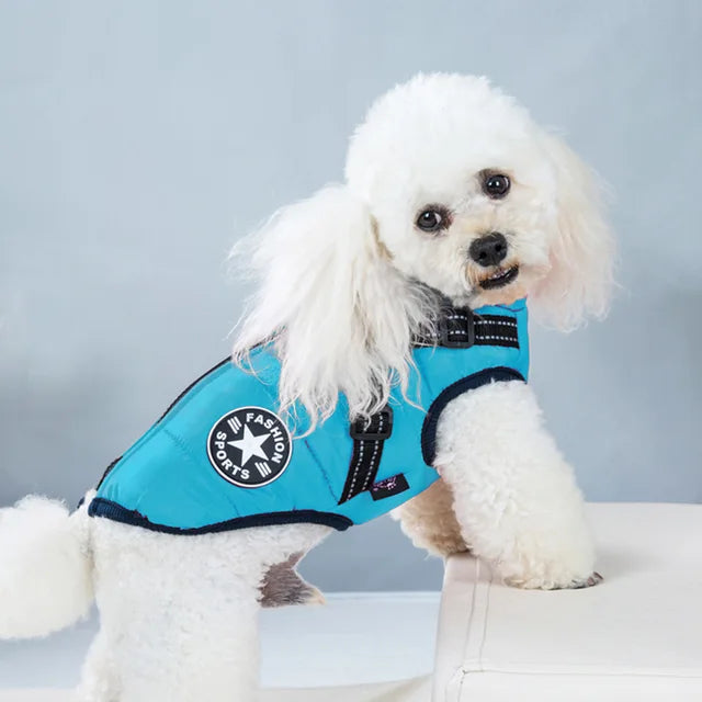 Wind- und wasserdichte Jacke für Hunde mit Geschirr