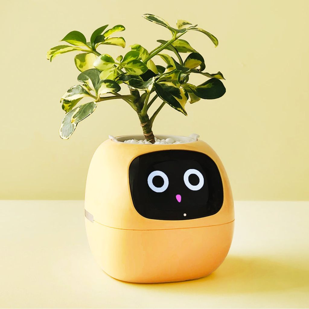 Smart Plant Pot Ivy – Innovative Pflanzenpflege