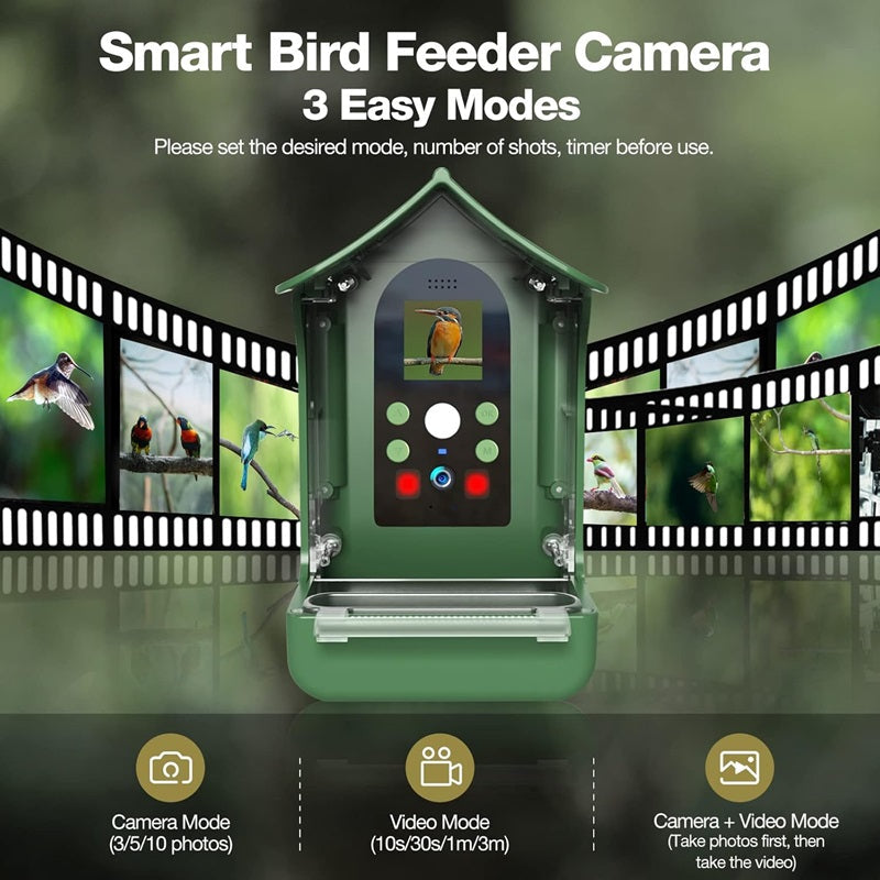 Smart Bird Feeder mit PIR-Bewegungserkennung und automatischer Aufnahme