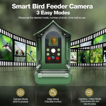 Smart Bird Feeder mit PIR-Bewegungserkennung und automatischer Aufnahme