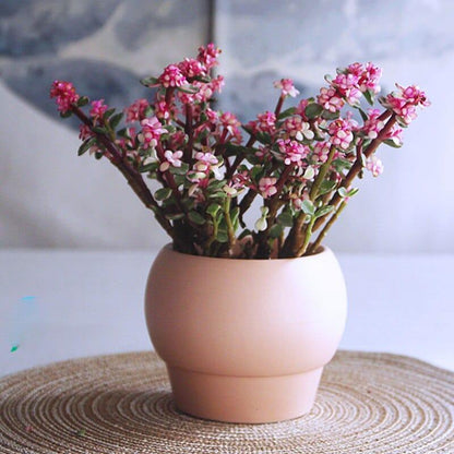 Garduru – Elegante Keramikvase für zeitloses Design