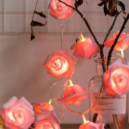 Rose Blossom Lichterketten