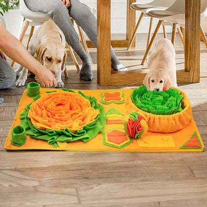 Schnüffelteppich für Hunde