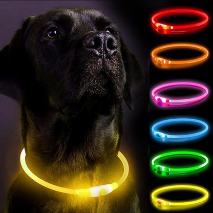 Leuchtendes LED-Halsband wiederaufladbar für Hunde | GlowPup