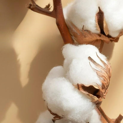 Baumwoll-Satin besticktes graues Bettwäsche-Set