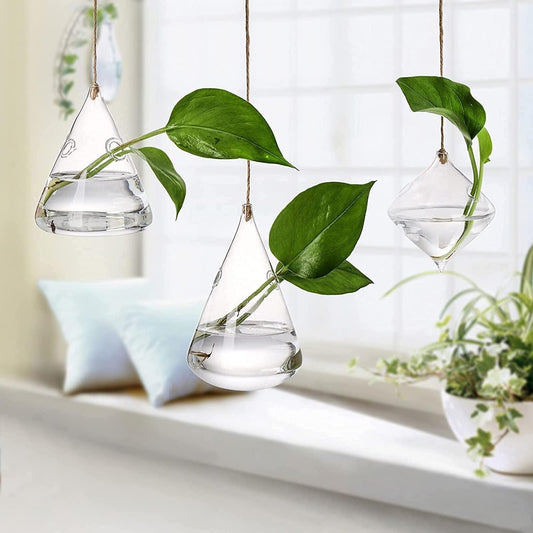 3-teilige Glas Hängende Terrarium Vasen