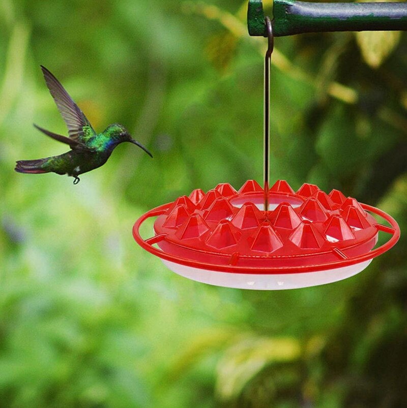 Kolibri-Futterschale zum Trinken