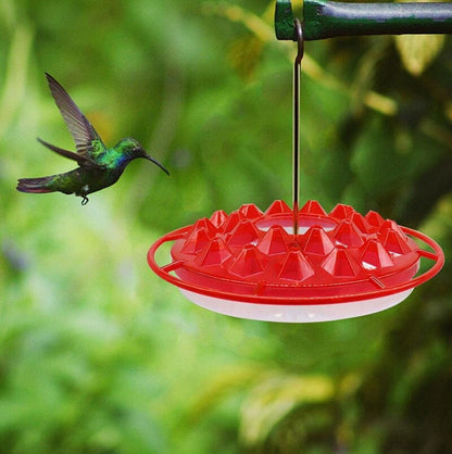 Kolibri-Futterschale zum Trinken