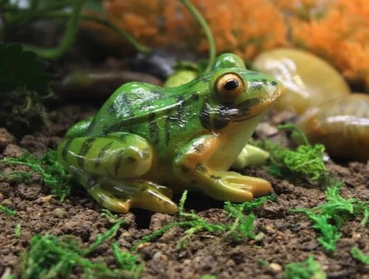 Garten Bonsai Frosch Skulptur