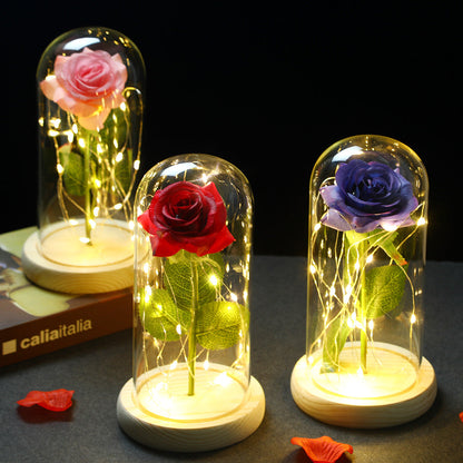 Led Enchanted Galaxy Sparke Rose