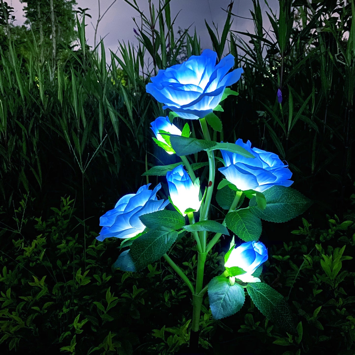 Funkelnde Solar-Löwenzahn-Gartenleuchten