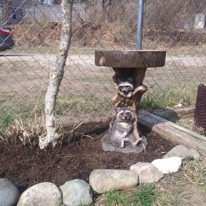 Waschbär Vogelbad aus Harz