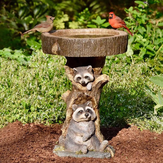 Waschbär Vogelbad aus Harz