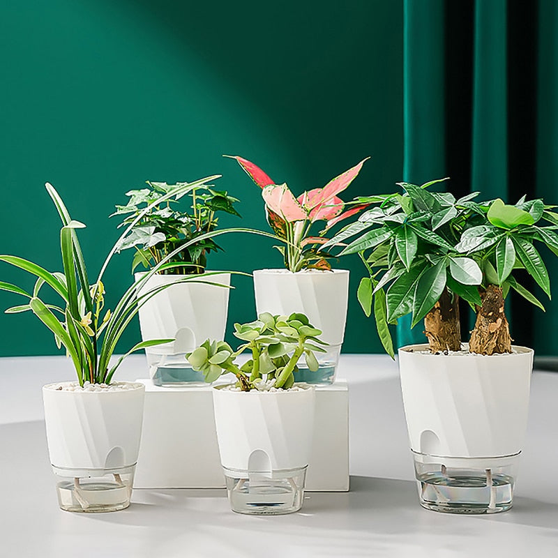 Selbstbewässernder Innenblumentopf