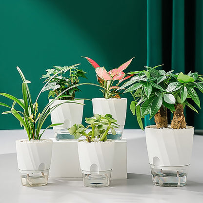 Selbstbewässernder Innenblumentopf