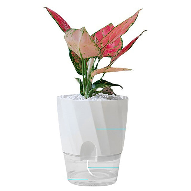 Selbstbewässernder Innenblumentopf