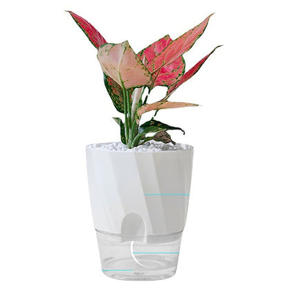 Selbstbewässernder Innenblumentopf