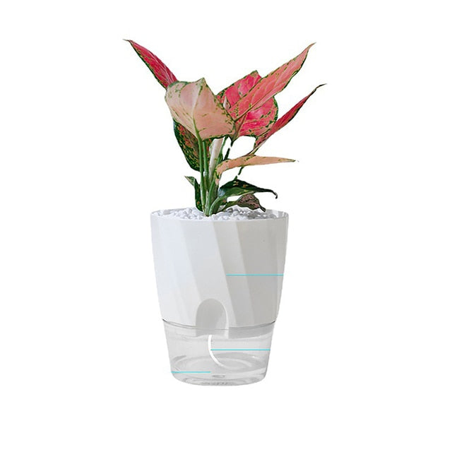 Selbstbewässernder Innenblumentopf